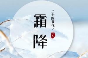 工商業(yè)分布式光伏屋面翻新修繕正當時